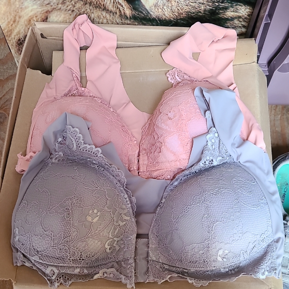 Elegant Lace Bra Set - Pink and Gray
